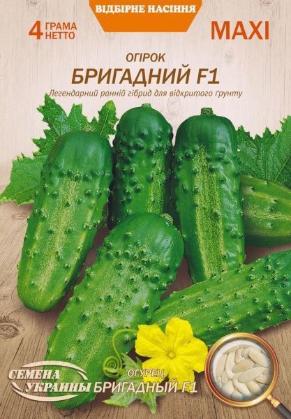 Семена Семена Украины огурец Бригадный F1 4г (4823099803729)