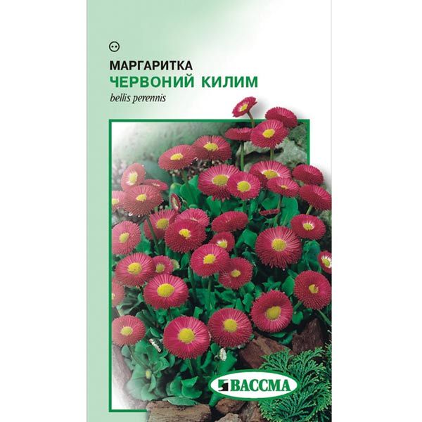 Семена Цветы Маргаритка Красный ковер 0.1 г
