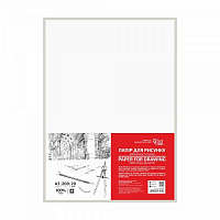 Бумага для черчения Rosa Studio мелкое зерно А3 (29,7х42 см) 20 лист.