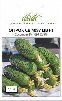 Насіння Професійне насіння огірок СВ 4097 ЦВ F1 10 шт. (4820176693839)