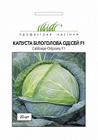 Семена Професійне насіння капуста белокочанная Одисей F1 20 шт. (4820176696762)
