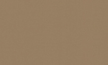 Шпалери вінілові на флізеліновій основі MEGAPOLIS 9110-09 1,06x10,05 м 