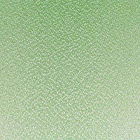 Ролета Роллотекс Pearl 22 зеленая 51x150 см