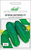Семена Професійне насіння огурец Октопус F1 20 шт.