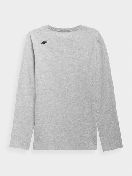 Футболка 4F NOSD4-TSML300-27M р.2XL серый