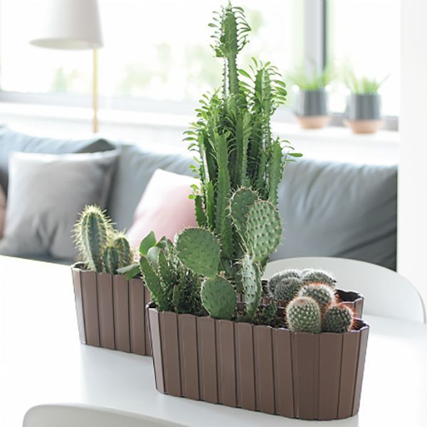 Ящик балконный Prosperplast Boardee Hook прямоугольный 4,9л коричневый (25302-222) 