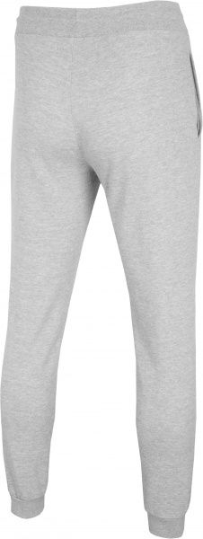 Брюки 4F NOSH4-SPMD001-27M р. XL серый