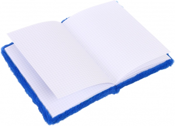 Книга для записей Земля 80 листов А5