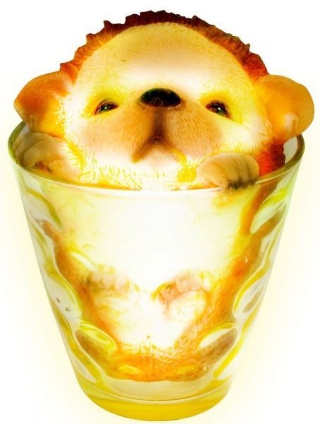 Світильник на сонячній батареї Camelion SG-145 LED IP44 різнокольоровий 