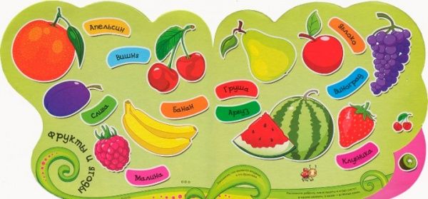 Книга «Книга Фрукты и овощи 2+»