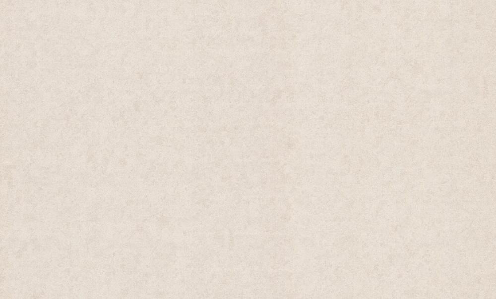 Шпалери вінілові на флізеліновій основі Bravo 81800BR01 1,06x10,05 м