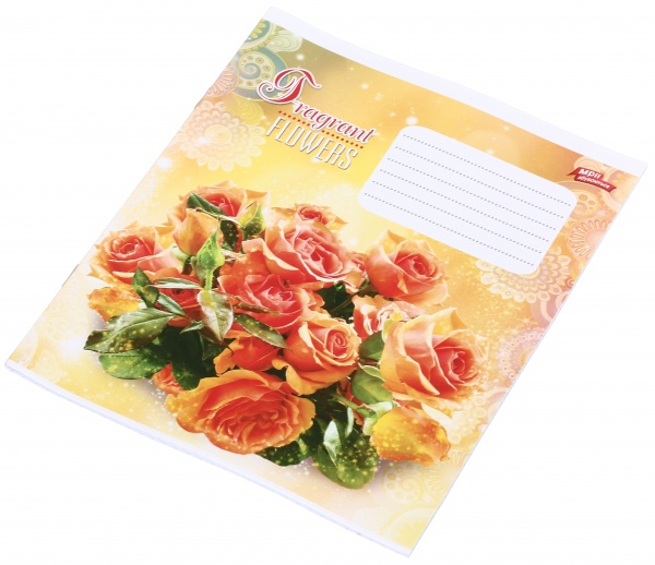 Зошит шкільний 24 аркуша у клітинку в асортименті Мрії збуваються