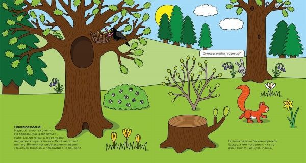 Книга Лизелот Верштеег «Весняні пригоди білченяти» 978-617-7395-37-8