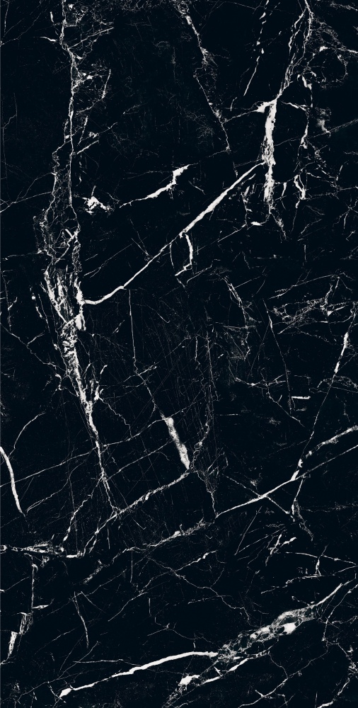 Плитка Allore Group Marquina Black F P R Mat 60х120 см