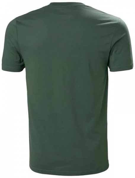 Футболка Helly Hansen NORD GRAPHIC T-SHIRT 62978-476 р.M зеленый