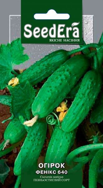 Насіння Seedera огірок Фенікс 640 1г