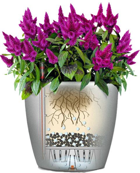 Вазон пластиковий Lechuza Classico Premium LS 50 круглий 40л білий (16100) 