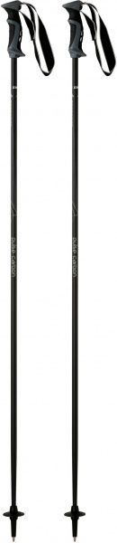 Гірськолижні палиці TECNOPRO Pulse Carbon 110 см