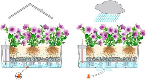 Ящик балконный Lechuza Balconera Cottage 80 прямоугольный 28,9л мокко (15615) 