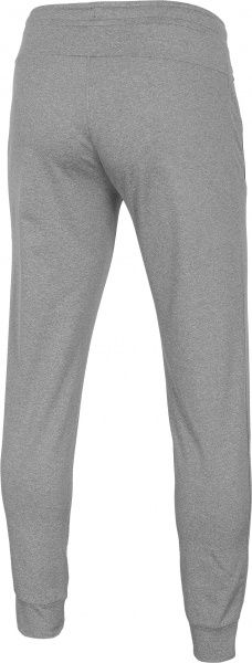 Брюки 4F NOSD4-SPMTR300-25M р. 2XL серый