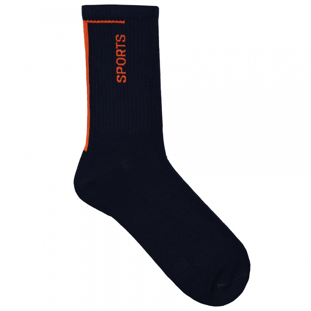 Шкарпетки чоловічі Premier Socks з написом Sports р.25 синій