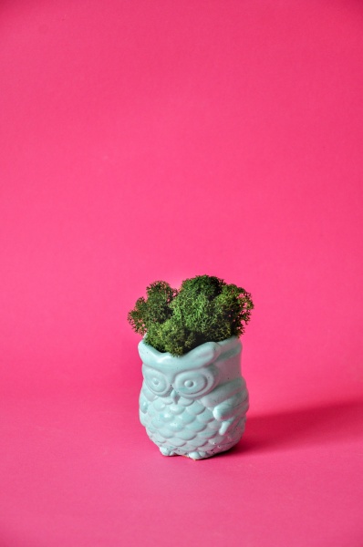 Кашпо декоративное Sovos бирюзовый бетон