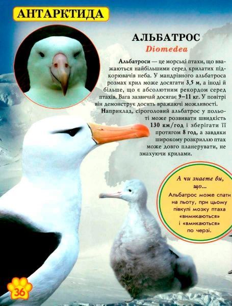 Книга «Світ навколо нас. Дикі тварини» 978-966-936-942-0