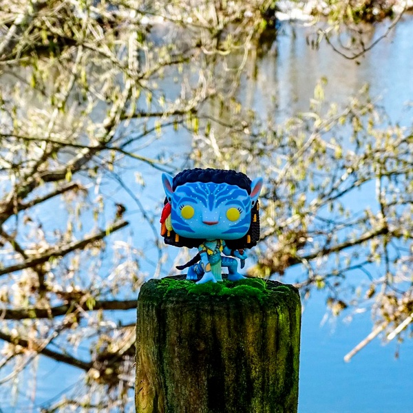 Игровая фигурка Funko Pop! серии Аватар Нейтири 65642 