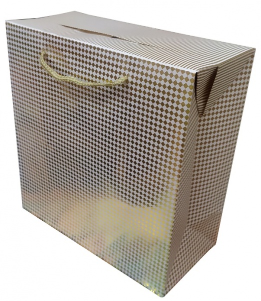 Пакет подарунковий 27х27х13 см Happycom International