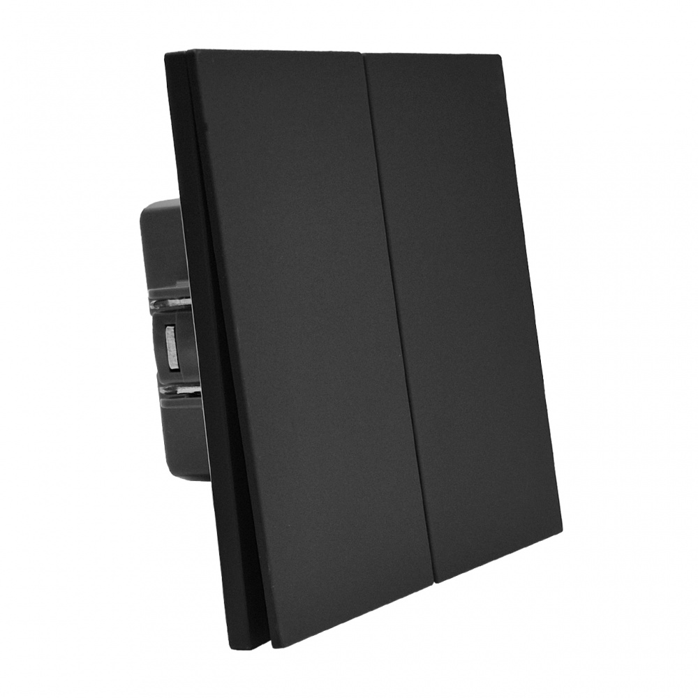 Вимикач двоклавішний HausMark INO без підсвітки чорний LS-2G-EU-Black