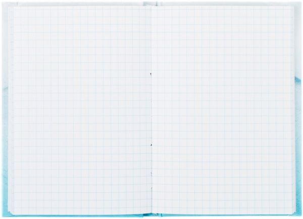 Блокнот Ice Age А6 80 л. IA09271 Cool For School