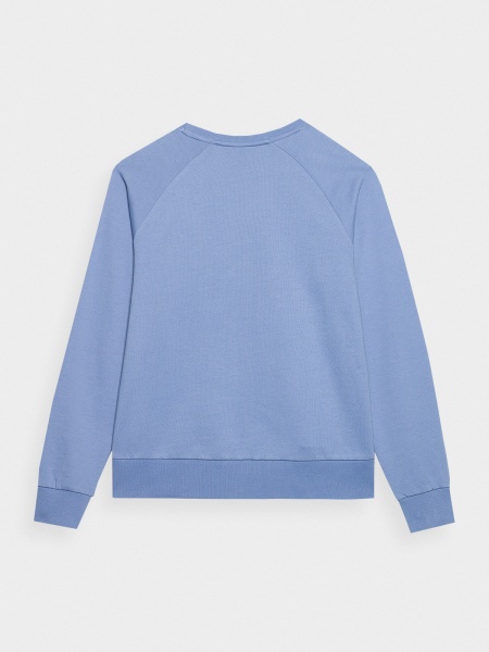 Свитшот 4F SWEATSHIRT F370 4FSS23TSWSF370-32S р.L синий