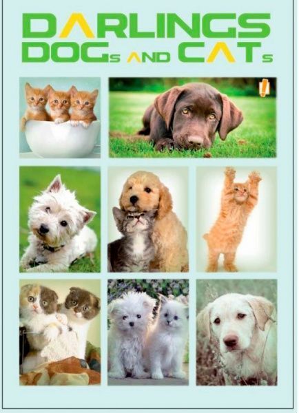 Книга для нотаток А5 60 YES