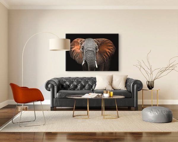 Репродукція Слон 113x85 см Styler 