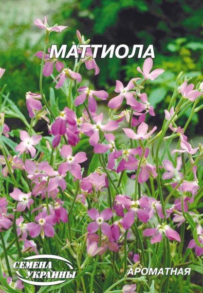 Насіння Семена Украины матіола Матіола 5 г