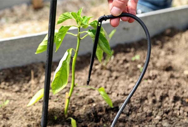 Трубка капельного полива Киевгума d4х1,0