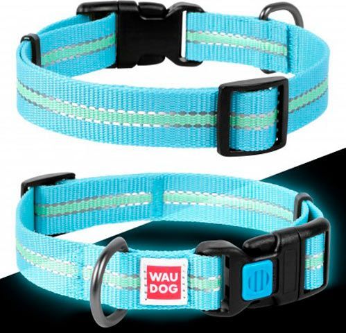 Ошейник WAUDOG Nylon светонакопительный 2,5х31-49 см голубой