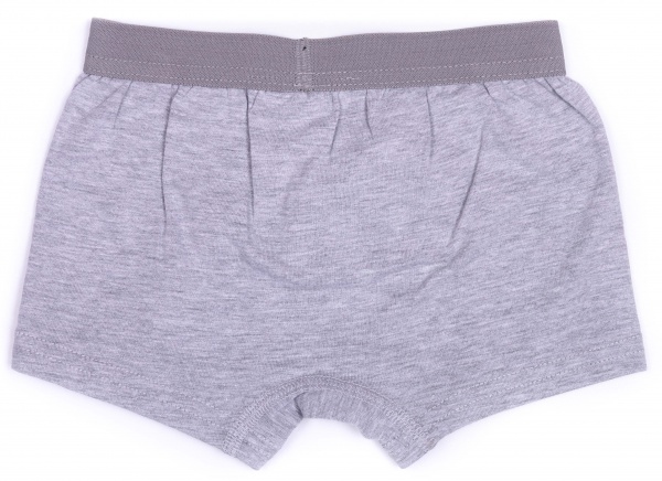 Трусики-боксеры для мальчиков Luna Kids р.122–128 серый MOR-2-2014/сірий меланж/122-12 
