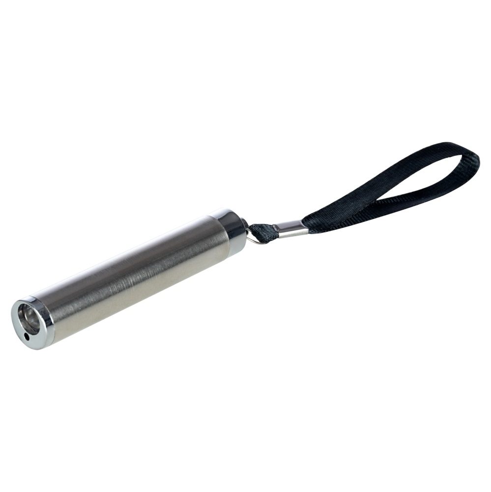 Игрушка DGT-PETS Лазерная указка-фонарик серебряный (FG221228007G)