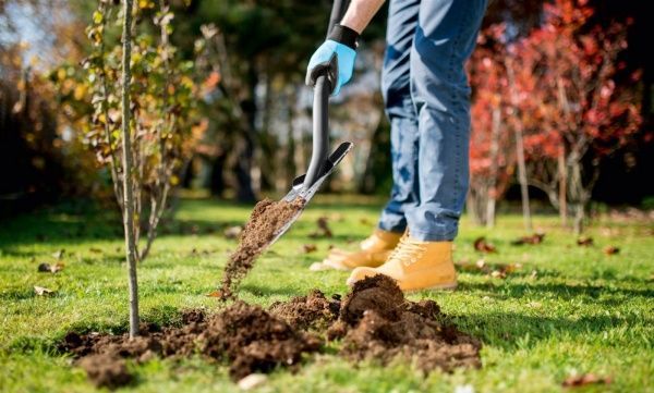 Лопата штыковая Cellfast IDEAL LINE 40-205