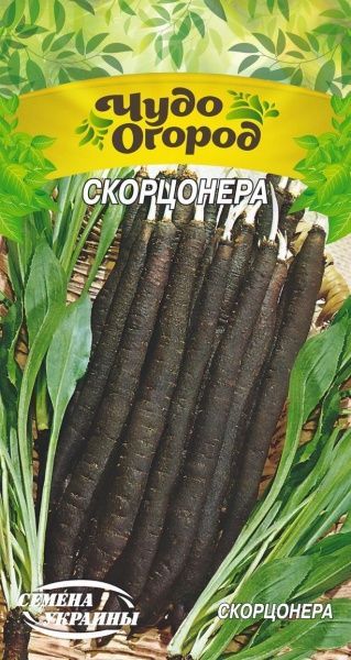Насіння Семена Украины скорцонера 666200 1 г
