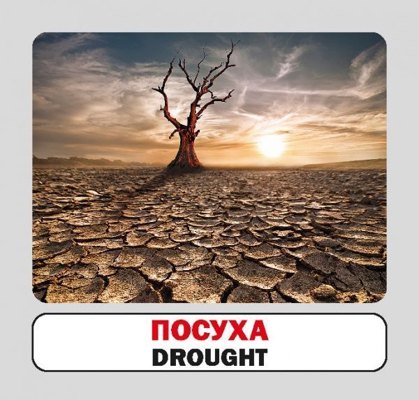 Книга «Навчальний посібник. Природні явища. англ-укр»