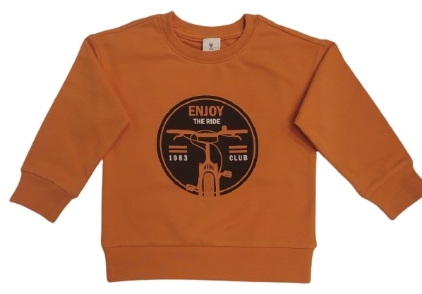 Джемпер для мальчика Роза р.110 темная горчица 210578 