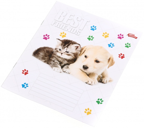 Тетрадь школьная 18 листов в линейку в ассортименте Мечты сбываются