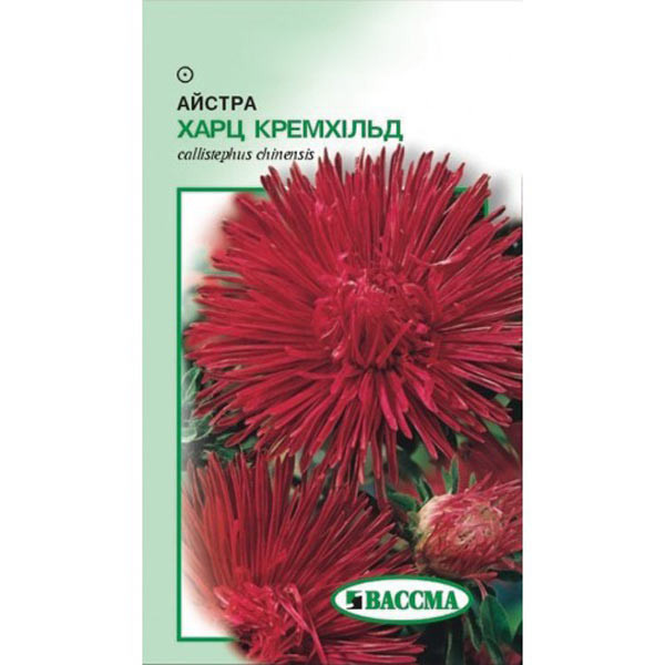 Семена Цветы Астра  Харц Кремхилд 0.25 г