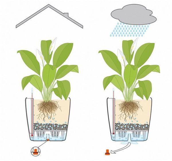 Вазон пластиковий Lechuza Classico Premium LS 35 круглий 39,1л коричневий (16065) 