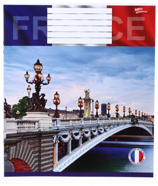 Тетрадь школьная с глитером 18 листов в клеточку в ассортименте Мечты сбываются