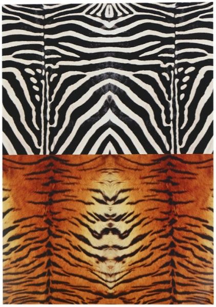 Набор текстурного картона Флора и Фауна А4 10 листов Лунапак