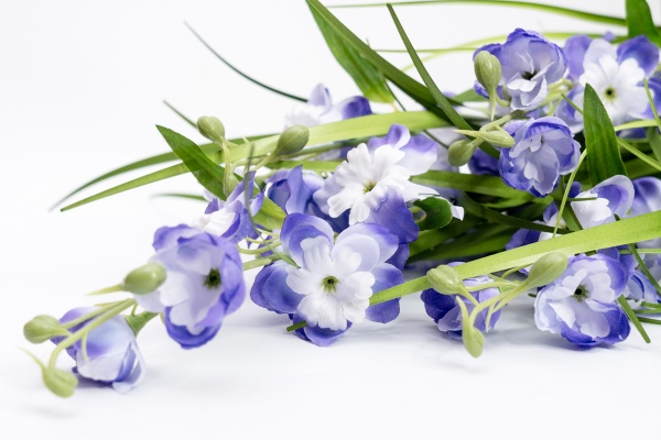 Растение декоративное Окопник фиолетовый в горшке 75 см Девилон