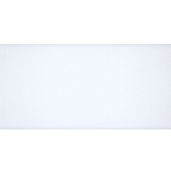 Плитка Атем MONO W 25x60